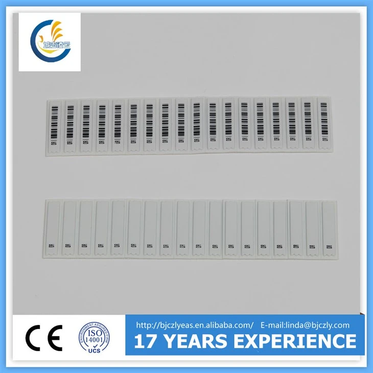 AM （3+1） DR Soft Label